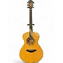 Used 2002 Taylor Liberty Tree Guitar (#24 of 400) Tulip Poplar Acoustic Guitar Tulip Poplar