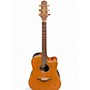 Used 2006 Takamine EAN10C Antique Natural Acoustic Guitar Antique Natural