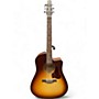 Used Seagull Used 2015 Seagull ENTOURAGE AUTUMN BURST Acoustic Electric Guitar AUTUMN BURST