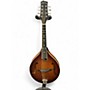 Used 2020s Gold Tone GM 55A Natural Mandolin Natural