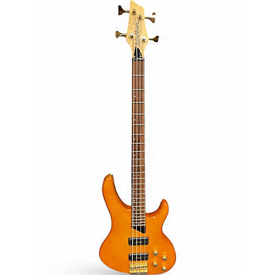 Washburn Basses | Musician's Friend