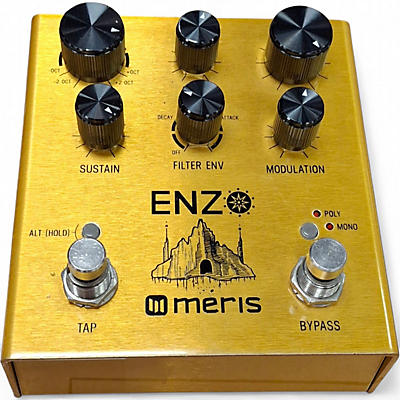 Used 2021 Meris enzo Effect Pedal