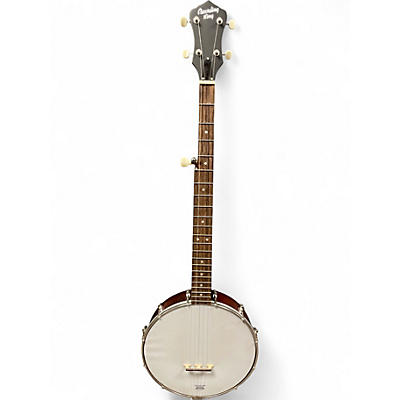 Used 2024 Recording King RKO 35 White Banjo