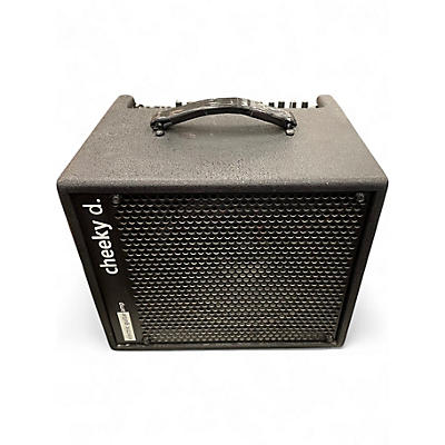 Used AER cheeky d. Guitar Combo Amp