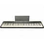 Used Alesis recital play Digital Piano
