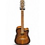 Used Alvarez ADWS77 SHADOWBURST Acoustic Electric Guitar SHADOWBURST