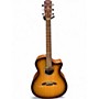 Used Alvarez AG610CESHB Copper Burst Acoustic Guitar Copper Burst
