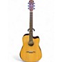 Used Alvarez Artist Elite Series ADE90CEAR Natural Acoustic Electric Guitar Natural
