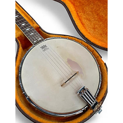 Used Alvarez Silver Princess Banjo Natural Banjo