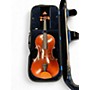 Used Andreas Eastman VA305 Acoustic Viola