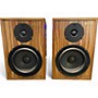 Used Aps KLASIK Pair Powered Monitor