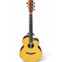 Used Baden D STYLE Natural Acoustic Guitar Natural