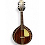 Used Beltone mandolin Mahogany Mandolin Mahogany