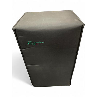 Used Bergentino FORTE D Bass Amp Head