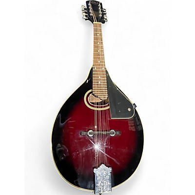 Used Bester M2 MANDOLIN 2 Color Sunburst Mandolin