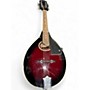Used Bester M2 MANDOLIN 2 Color Sunburst Mandolin 2 Color Sunburst
