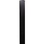 Used Bose L1 Model I Powered Speaker