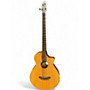 Used Breedlove ABJ250/SM4 Natural Acoustic Bass Guitar Natural