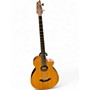 Used Breedlove ABJ250/SM4 Natural Acoustic Bass Guitar Natural