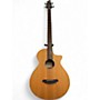 Used Breedlove ABJ250 SM4 Natural Acoustic Bass Guitar Natural