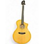 Used Breedlove ARTISTA CONCERT Natural Solid Body Electric Guitar Natural