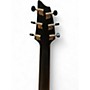 Used Breedlove Used Breedlove ARTISTA PRO CONCERT BD CE BLACK DAWN Acoustic Electric Guitar BLACK DAWN