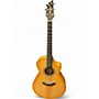 Used Breedlove Artista Concert Natural Shadow CE Natural Acoustic Electric Guitar Natural