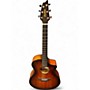 Used Breedlove Breedlove Pursuit EX S Concert Myrtlewood Tiger's Eye Acoustic Electric Guitar Tiger's Eye