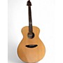 Used Breedlove C200 SMP Natural Acoustic Guitar Natural