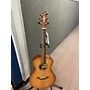 Used Breedlove Used Breedlove COMPANION ORGANIC SIGNATURE Sunburst Acoustic Electric Guitar Sunburst