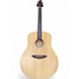 Used Breedlove D200SMP Passport Natural Acoustic Guitar Natural