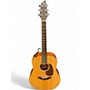 Used Breedlove D200SMP Passport Natural Acoustic Guitar Natural