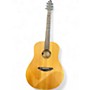 Used Breedlove D200SMP Passport Natural Acoustic Guitar Natural