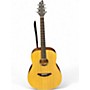 Used Breedlove D200SMP Passport Natural Acoustic Guitar Natural