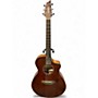 Used Breedlove Discovery Concert CEMH Mahogany Acoustic Electric Guitar Mahogany