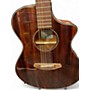 Used Breedlove Used Breedlove Discovery Concert Cutaway Mahogany Acoustic Electric Guitar Mahogany