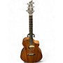 Used Breedlove Used Breedlove Discovery Concert Cutaway Mahogany Acoustic Electric Guitar Mahogany