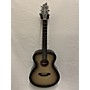 Used Breedlove Used Breedlove Discovery Concert Ghost Burst Acoustic Guitar Ghost Burst