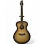 Used Breedlove Discovery S Concert GHOST BURST Acoustic Guitar GHOST BURST