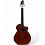 Used Breedlove ED GERHARD SIGNATURE Antique Natural Acoustic Electric Guitar Antique Natural