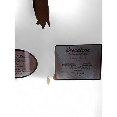 Used Breedlove ORGANIC CONCERT Sunburst Acoustic Electric Guitar