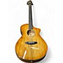 Used Breedlove Oregon Concert CE CINNAMON BURST Acoustic Electric Guitar CINNAMON BURST