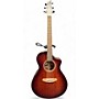 Used Breedlove Organic Collection Wildwood Concert CE Whiskey Burst Acoustic Electric Guitar Whiskey Burst