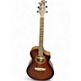 Used Breedlove Organic Collection Wildwood Concert Cutaway CE Acoustic-Elec  Whiskey Burst Acoustic Electric Guitar Whiskey Burst