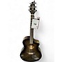 Used Breedlove Organic Pro Collection Artista CN Sable CE gray Acoustic Electric Guitar gray