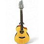 Used Breedlove PASSPORT 12 STRING Natural 12 String Acoustic Electric Guitar Natural