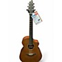 Used Breedlove PASSPORT C250 NATURAKL Acoustic Electric Guitar NATURAKL