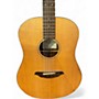 Used Breedlove PASSPORT D20 FS Natural Acoustic Guitar Natural