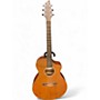 Used Breedlove Passport C250/CME Natural Acoustic Electric Guitar Natural