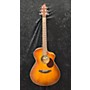 Used Breedlove Used Breedlove Passport Plus C250 SF Sunburst Acoustic Guitar Sunburst